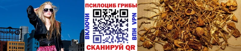 даркнет сайт  Ладушкин  Галлюциногенные грибы Psilocybe 